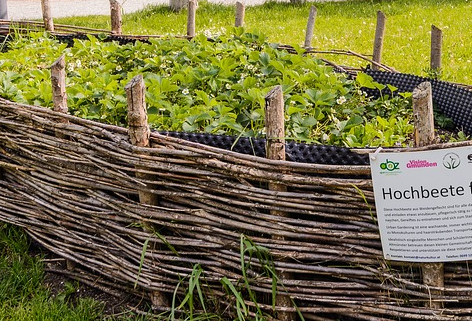 Hochbeet kaufen