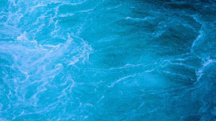 Den Sommer im glasklaren Wasser verbringen – Pool präventiv sauber halten