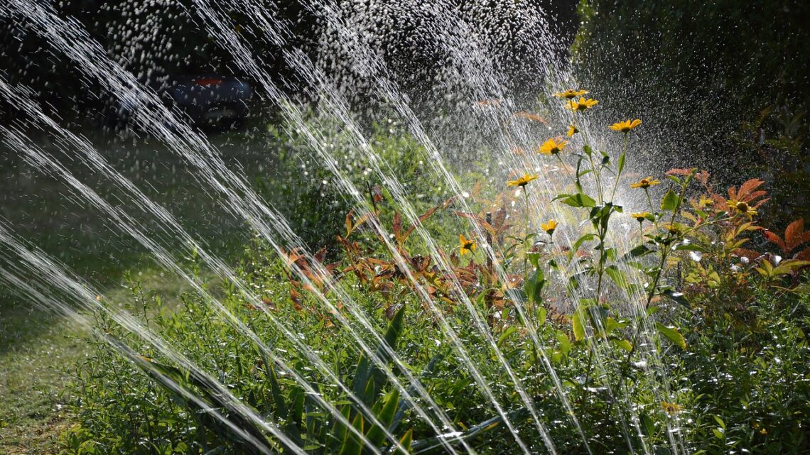 Tipps für mehr Wasserspaß und Komfort im Garten